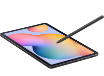 Galaxy Tab S6 Lite (64GB, Wi-Fi) Gray 64 GB (dynamic Gray)