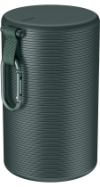 The Freestyle Case Green (l-perspective Green)