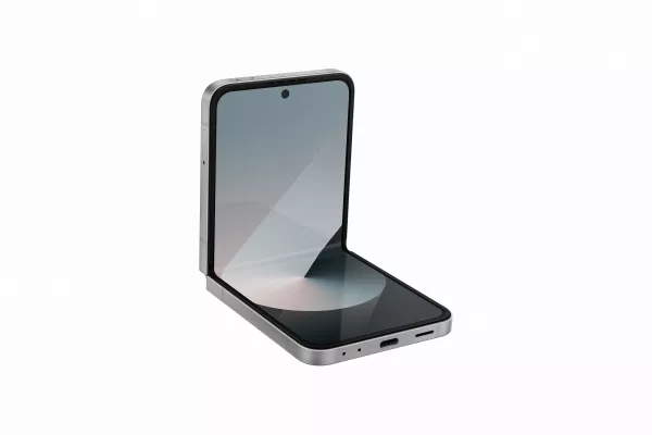 Galaxy Z Flip6 Silver Shadow 256 GB |