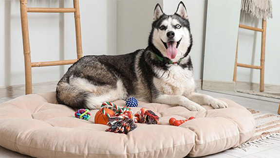 imagenes-575x325px_LP_TravelingTraveling_BOX_5